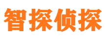 阳城侦探公司